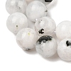 Natural Rainbow Moonstone Beads Strands G-Q1001-A05-02-01-5