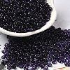 Transparent Colours Glass Seed Beads SEED-P006-02A-12-1
