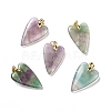 Natural Fluorite Pendants G-E570-01G-01-1