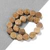 Electroplated Natural Druzy Agate Beads Strands G-M433-01H-2