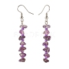 Natural Amethyst Chips Dangle Earrings with Glass EJEW-JE04840-07-3