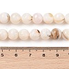Natural Freshwater Shell Beads Strands SHEL-T011-02-8mm-4