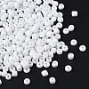 1300Pcs 6/0 Glass Seed Beads SEED-YW0002-22B-2