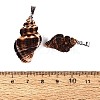 Brass & Natural Spiral Shell Big Pendants SHEL-Q029-30P-3