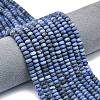 Natural Dumortierite Beads Strands G-P575-A03-6x4mm-1