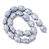 Handmade Porcelain Beads Strands LAMP-G140-02N-2