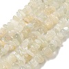 Natural White Moonstone Beads Strands G-P332-01-4