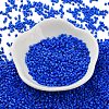 Baking Paint Glass Seed Beads SEED-S042-05B-77-2