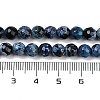 Natural Fire Crackle Agate Beads Strands G-C082-A01-31-5