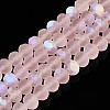 Transparent Glass Beads Strands LS-EGLA-A044-T8mm-MB22-1