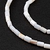 Natural Freshwater Shell Dyed Beads Strands SHEL-M018-12-12-4
