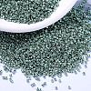 MIYUKI Delica Beads X-SEED-J020-DB1846-1