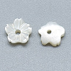 Natural White Shell Beads SSHEL-S260-011-2