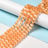 Natural Selenite Beads Strands G-P493-01I-2