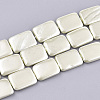 Shell Pearl Beads Strands SSHEL-T007-21F-1