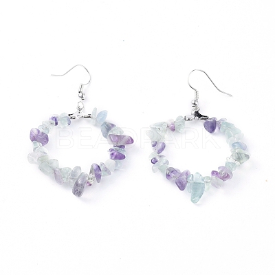 Natural Fluorite Dangle Earrings EJEW-E255-D04-1