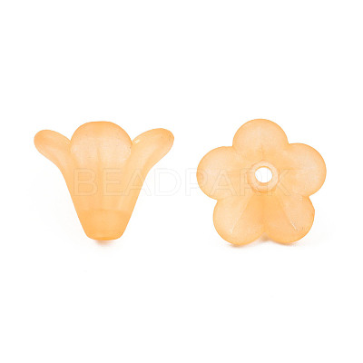 Frosted Acrylic Beads X-PL692-15-1