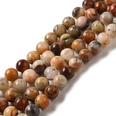 Natural Crazy Lace Agate Round Bead Strands X-G-M272-03-6mm-1