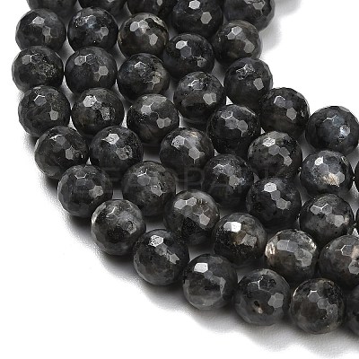 Natural Larvikite Beads Strands G-C280-B06-10mm-1