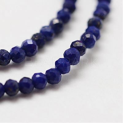 Natural Lapis Lazuli Bead Strands G-P270-2mm-19-1