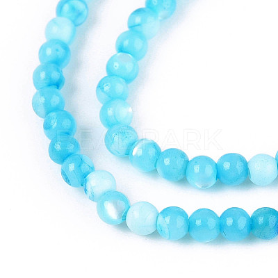 Dyed Natural Trochid Shell/Trochus Shell Beads Strands SSHEL-T017-13B-1