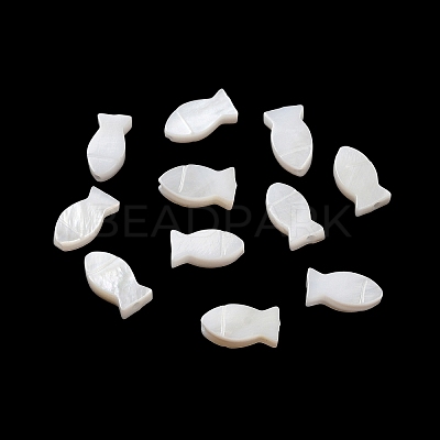 Natural Freshwater Shell Beads SHEL-H003-06-1