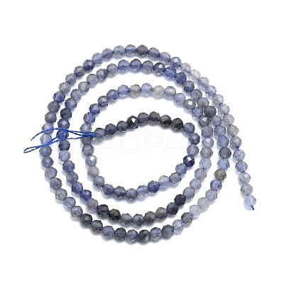 Natural Iolite/Cordierite/Dichroite Beads Strands G-P457-A03-11-1