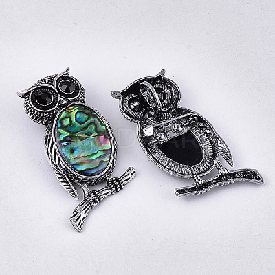 Abalone Shell/Paua Shell Brooches/Pendants X-RESI-S376-12-1