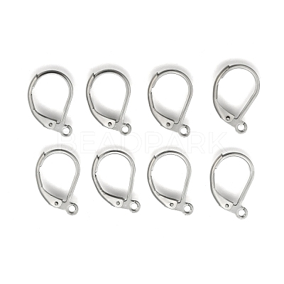 Tarnish Resistant 304 Stainless Steel Leverback Earring Findings STAS-E007-3-1