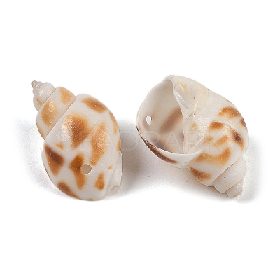 Natural Spiral Shell Pendants SHEL-K009-17D-1