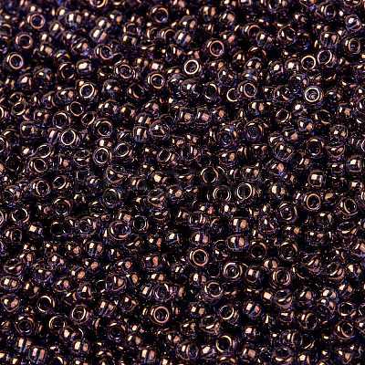 MIYUKI Round Rocailles Beads X-SEED-G008-RR1884-1