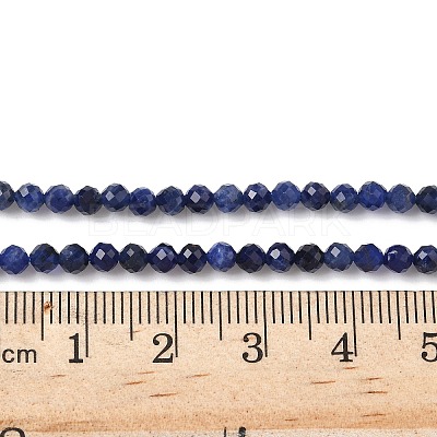 Natural Sodalite Beads Strands X-G-L622-C04-3mm-1