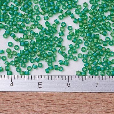 MIYUKI Delica Beads SEED-MY11-DB0858-1