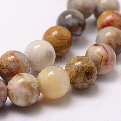Natural Crazy Lace Agate Beads Strands G-D840-70-8mm-1
