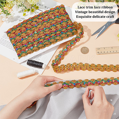 Polyester Braided Lace Ribbon OCOR-WH0046-26-1