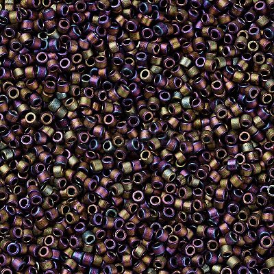MIYUKI Delica Beads Small X-SEED-J020-DBS1055-1