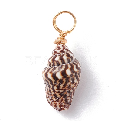 Natural Shell Pendants PALLOY-JF01164-02-1
