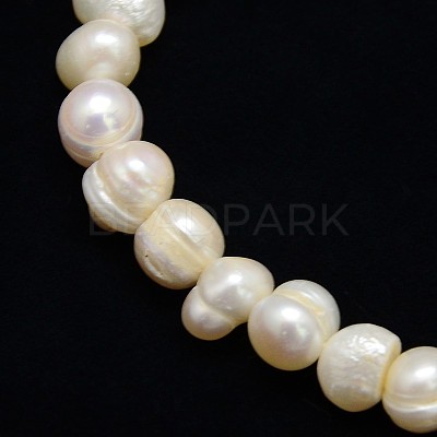 Natural Cultured Freshwater Pearl Beads Strands PEAR-L001-A-14-1