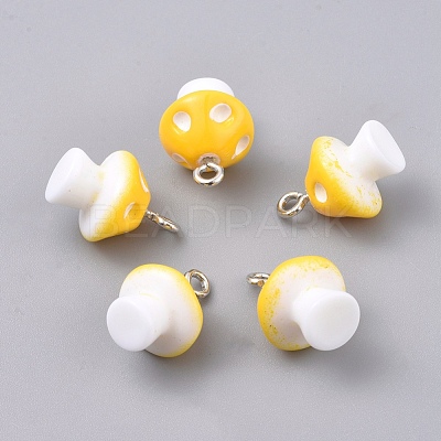Plastic Pendants KY-TAC0005-04B-1