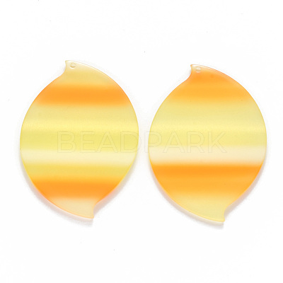 Cellulose Acetate(Resin) Pendants KY-R017-33-1