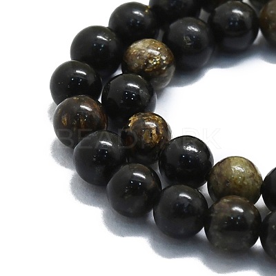 Natural Biotite Beads Strands G-P457-C02-01-1