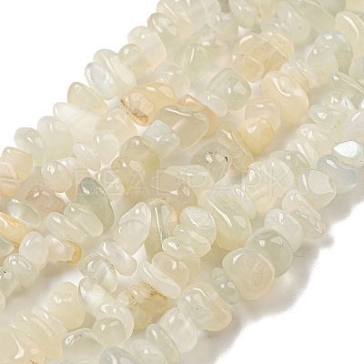 Natural White Moonstone Beads Strands G-P332-01-1