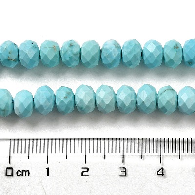 Dyed Natural Howlite Beads Strands G-G023-A01-01A-1