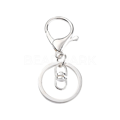 Iron Alloy Lobster Claw Clasp Keychain KEYC-D016-S-1