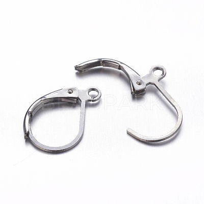 Brass Leverback Earring Findings X-KK-EC223-B-1