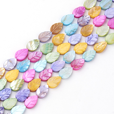 Natural Freshwater Shell Beads SHEL-Q008-05-1
