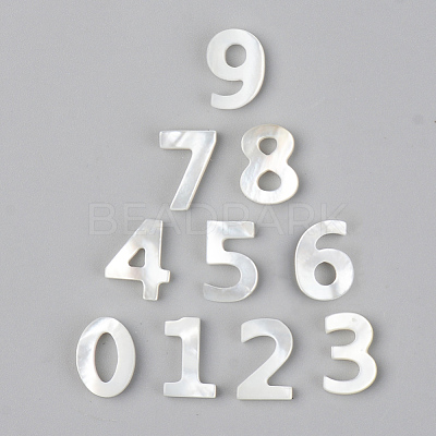 Natural White Shell Mother of Pearl Shell Charms SSHEL-R048-004-M-1