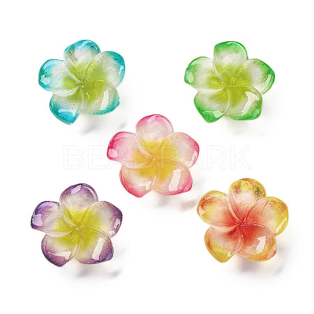 Opaque Resin Cabochons RESI-R455-01F-1