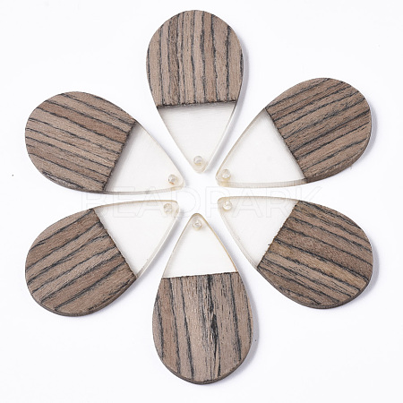Resin & Walnut Wood Pendants X-RESI-T035-14-1