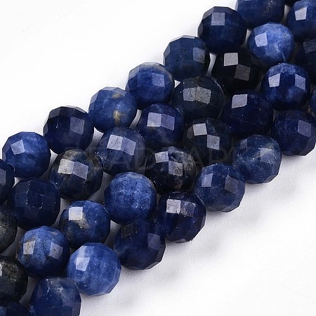 Natural Sodalite Beads Strands G-S345-6mm-26-1